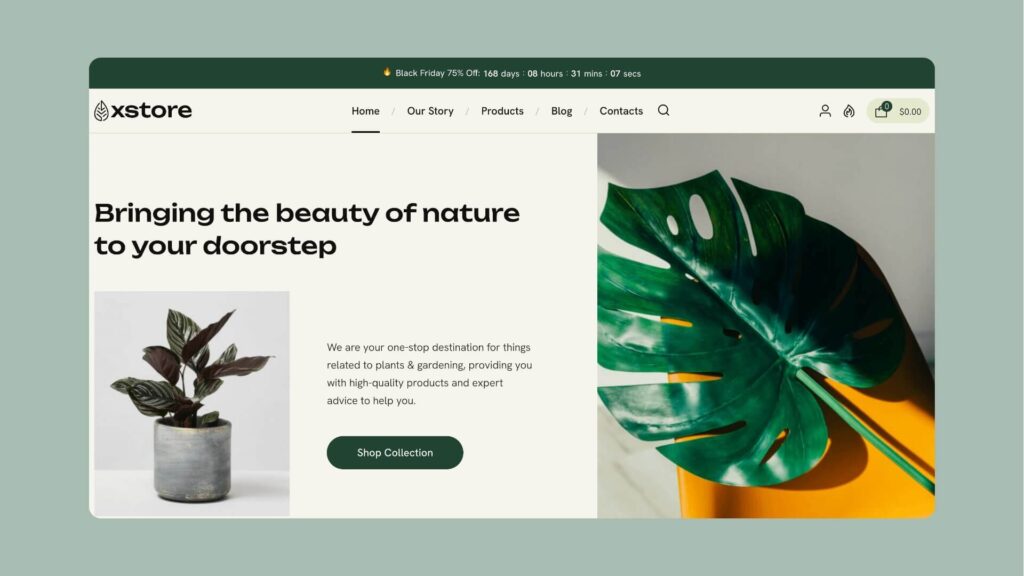 XStore Theme
