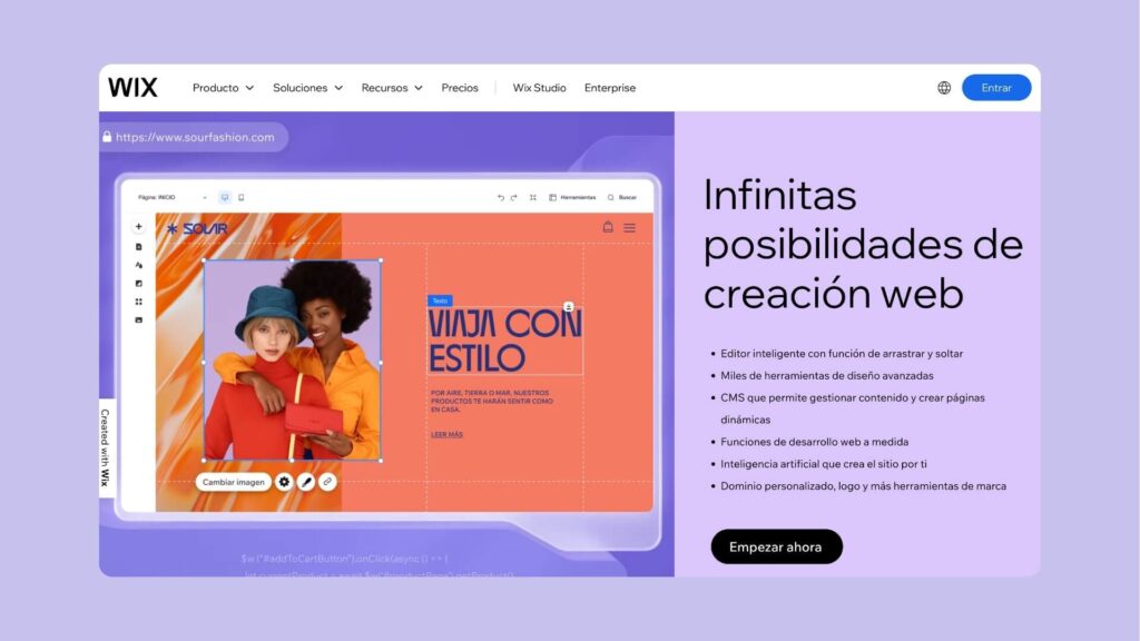 Wix paginas web