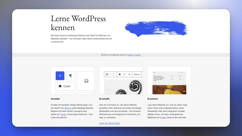 Blog Werkzeug Publishing Plattform und CMS WordPress