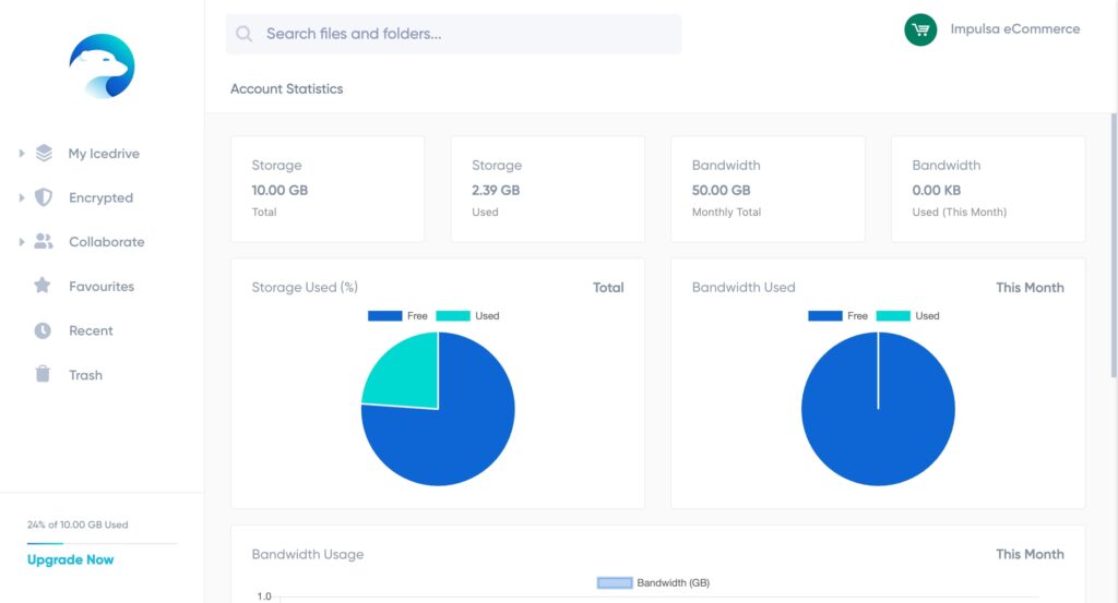Account Statistics Icedrive