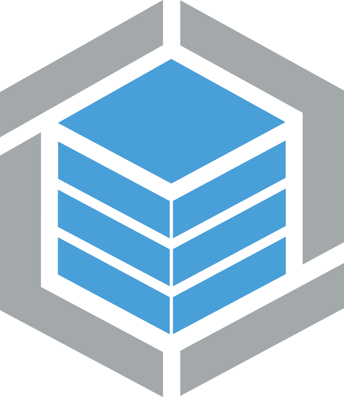 isotipo raiola networks